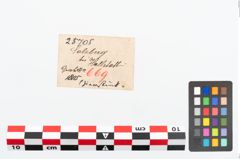 Etikett zu Bronzeradanhänger (NHMW-PRAE-025705)